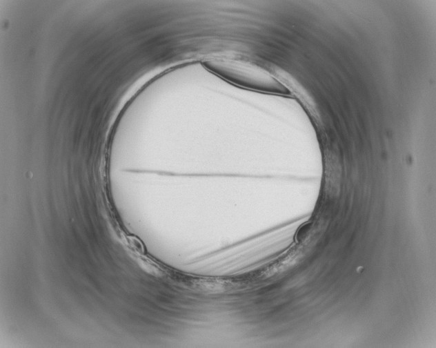 X0000085800956200704131917