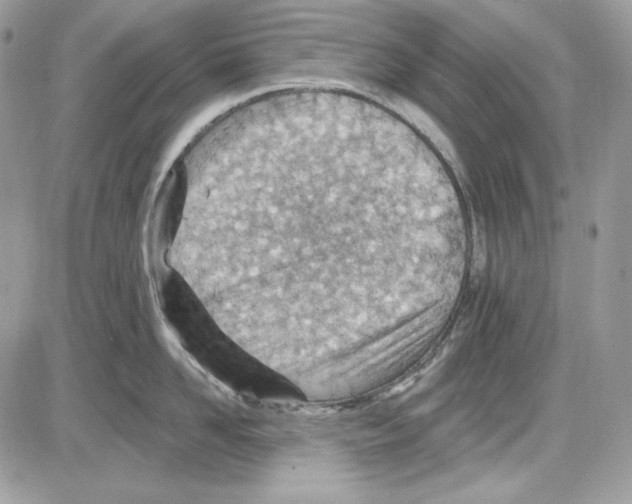 X0000085800958200704131917