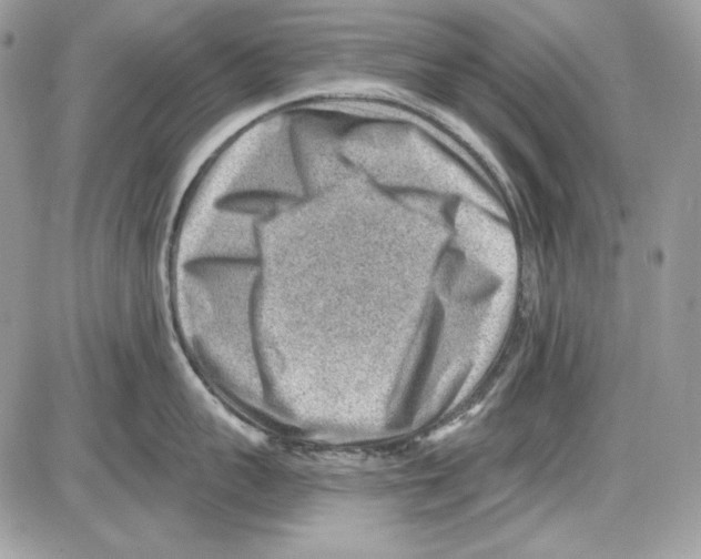 X0000085800959200704131917