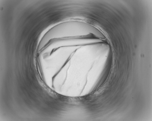 X0000085800960200704131917