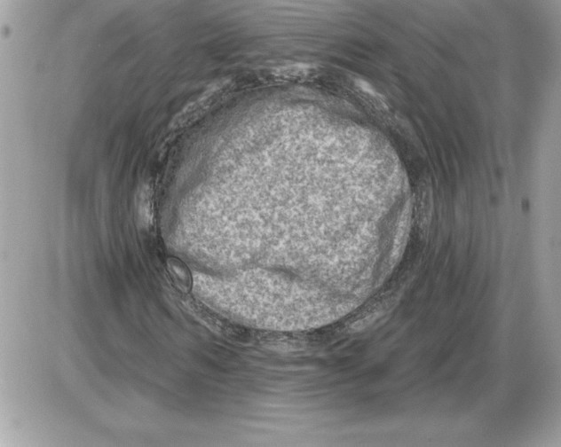 X0000085800962200704131917