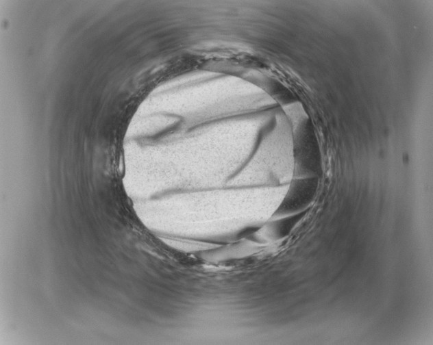 X0000085800965200704131917