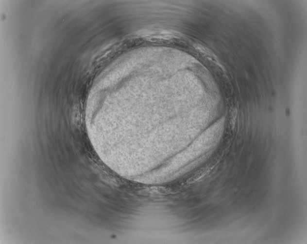 X0000085800966200704131917