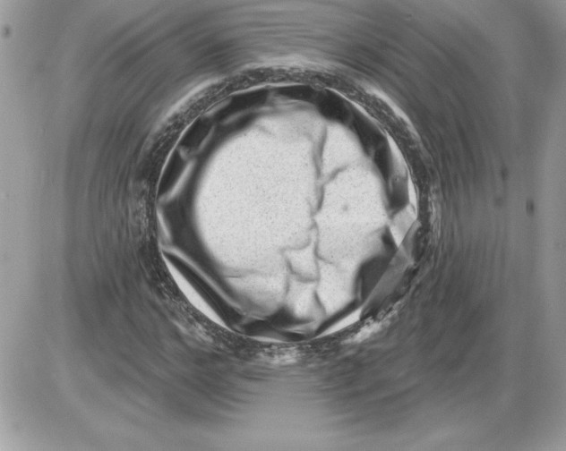 X0000085800968200704131917