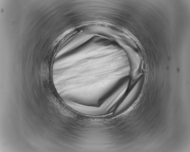 X0000085800969200704131917