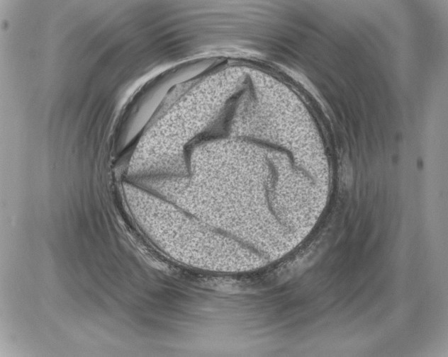 X0000085800971200704131917