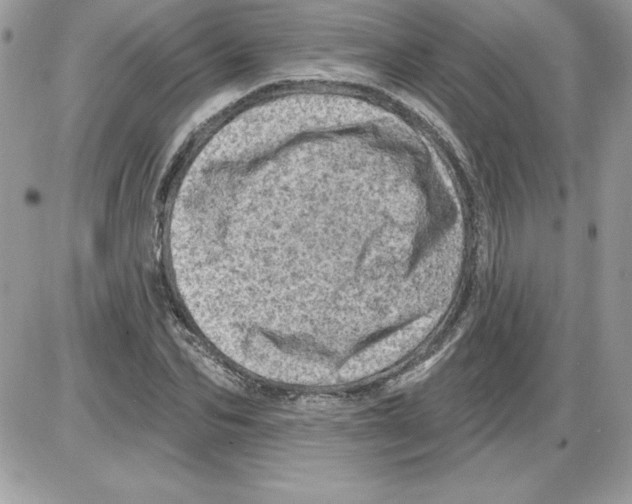 X0000085800974200704131916