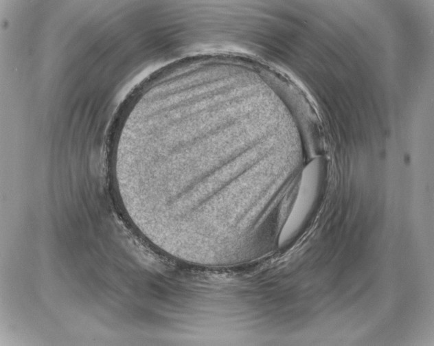 X0000085800975200704131916