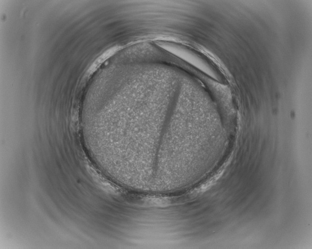 X0000085800977200704131916