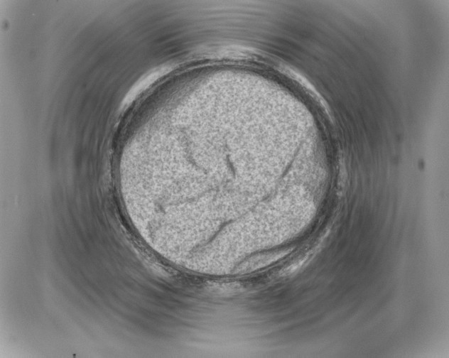 X0000085800978200704131916