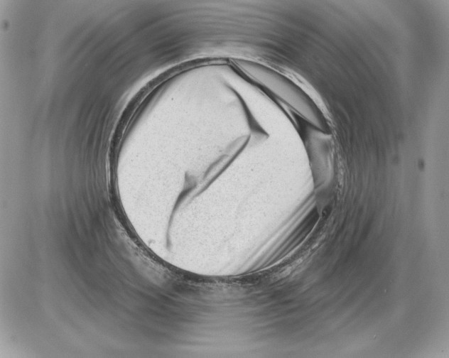 X0000085800980200704131916