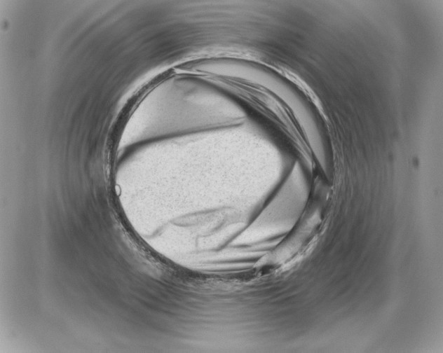 X0000085800981200704131916