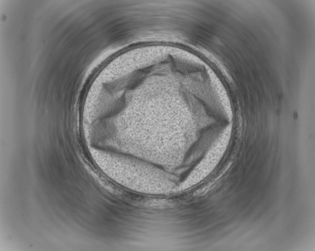 X0000085800982200704131916