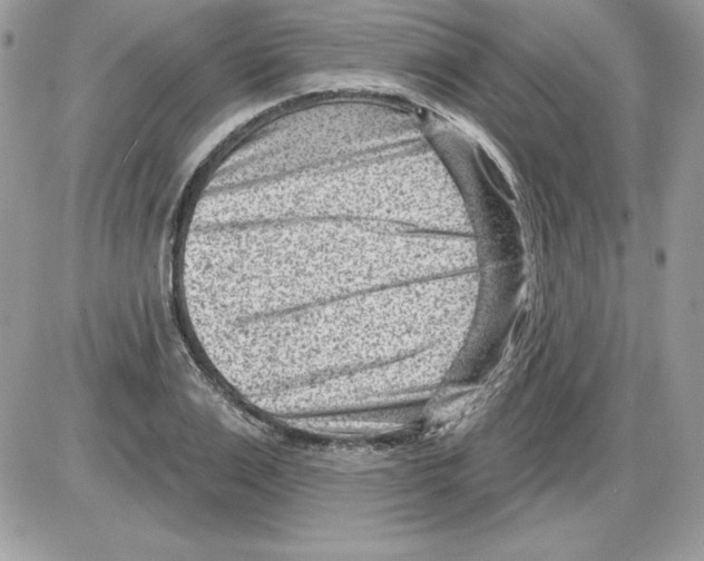 X0000085800983200704131916