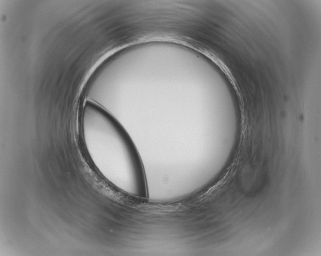 X0000085800984200704131916