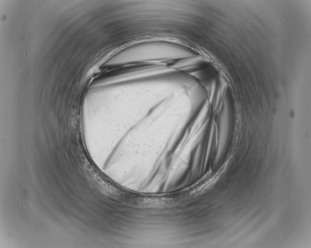 X0000085800985200704131916