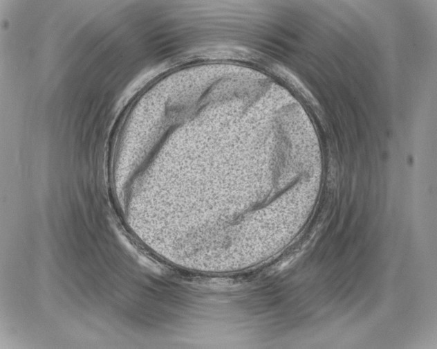 X0000085800986200704131916