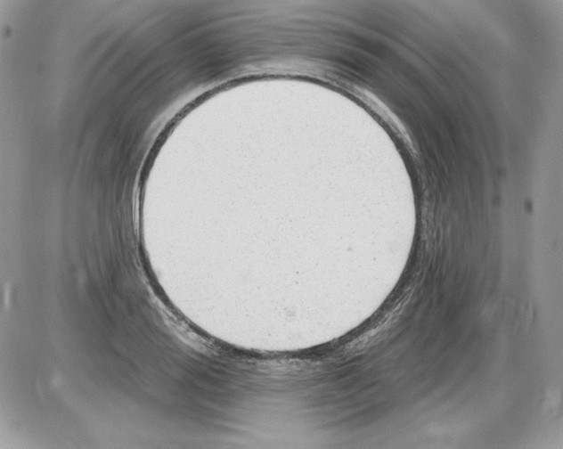 X0000085800988200704131916