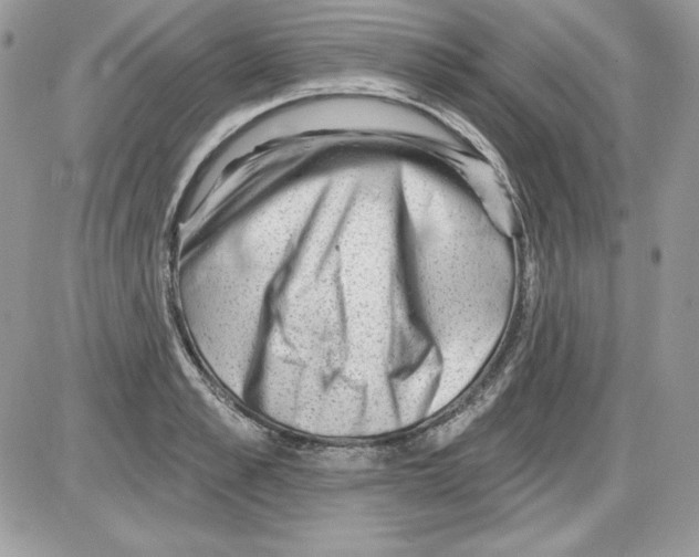 X0000085800989200704131916