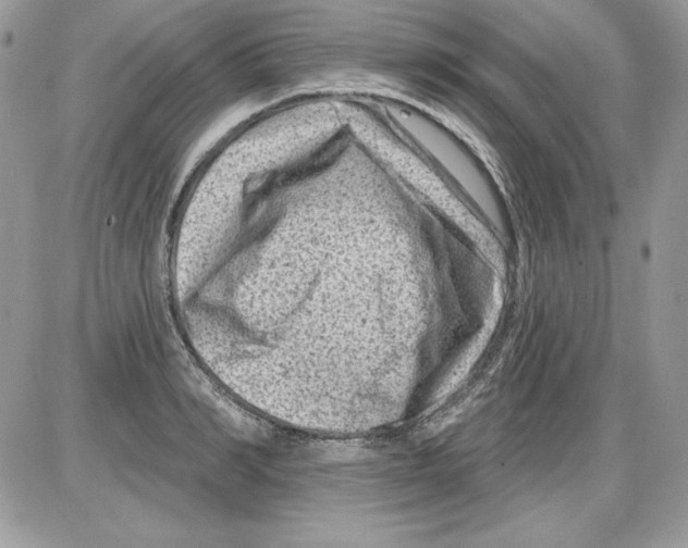 X0000085800990200704131916