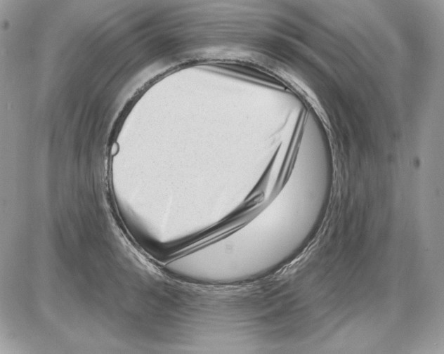 X0000085800992200704131916