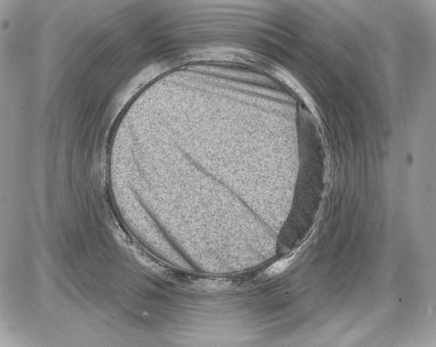 X0000085800994200704131916