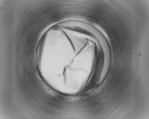 X0000085800996200704131916