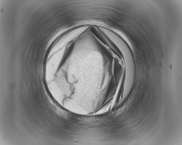 X0000085800999200704131916