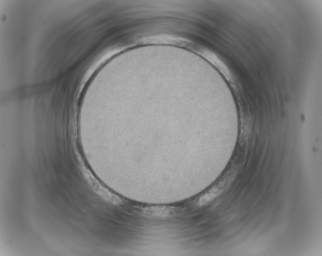 X0000085801000200704131916