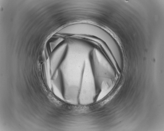 X0000085801001200704131916