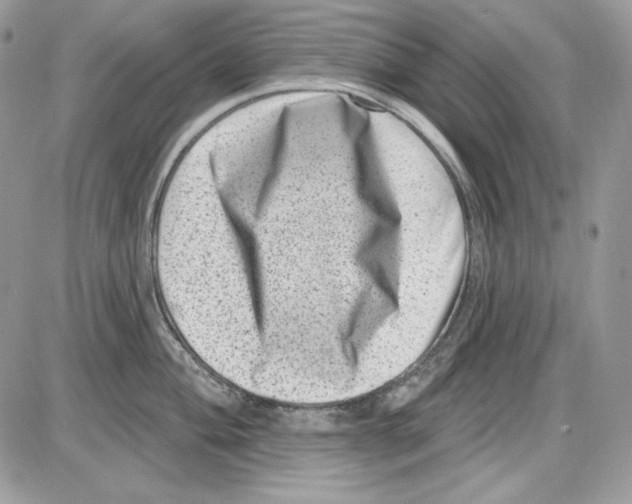 X0000085801004200704131916