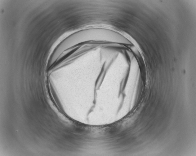 X0000085801005200704131916