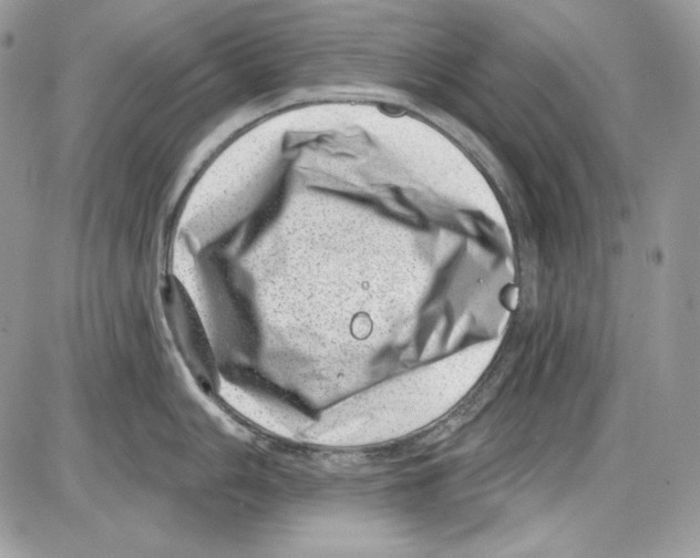 X0000085801006200704131916