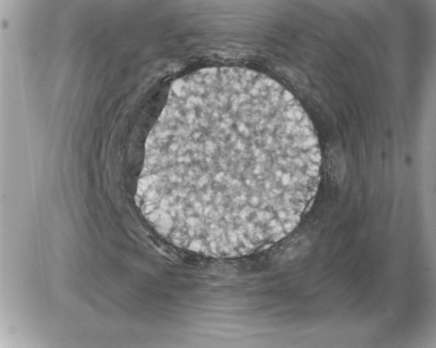 X0000085801009200704131915