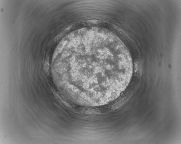 X0000085801011200704131915