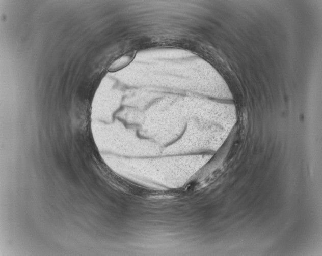 X0000085801012200704131915