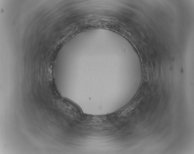 X0000085801013200704131915