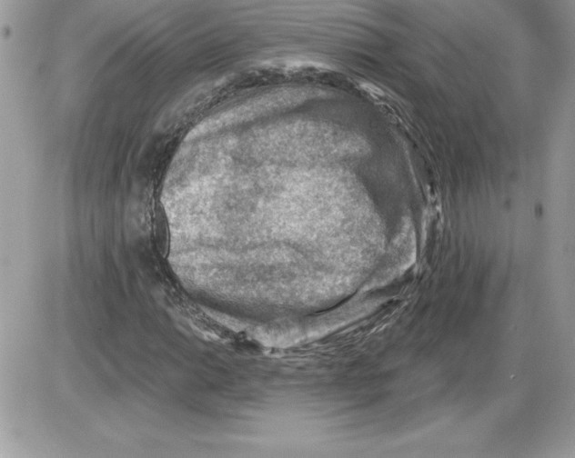 X0000085801014200704131915