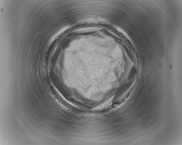 X0000085801018200704131915