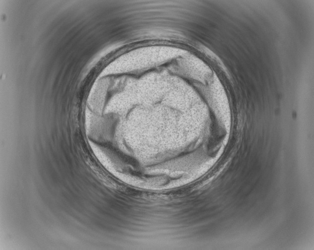 X0000085801019200704131915