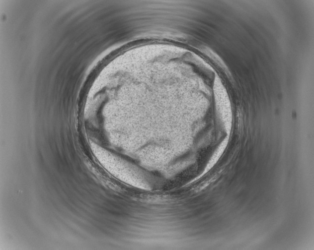 X0000085801020200704131915