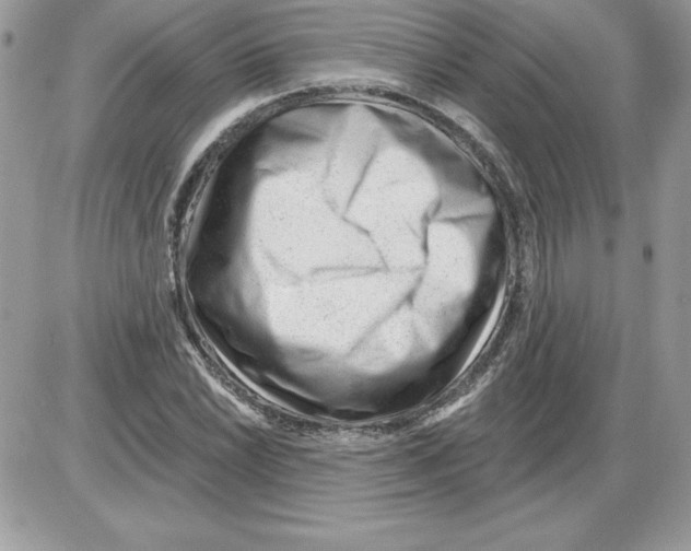 X0000085801022200704131915