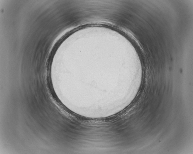 X0000085801024200704131915