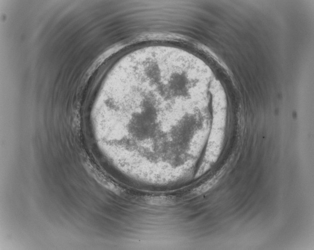 X0000085801025200704131915