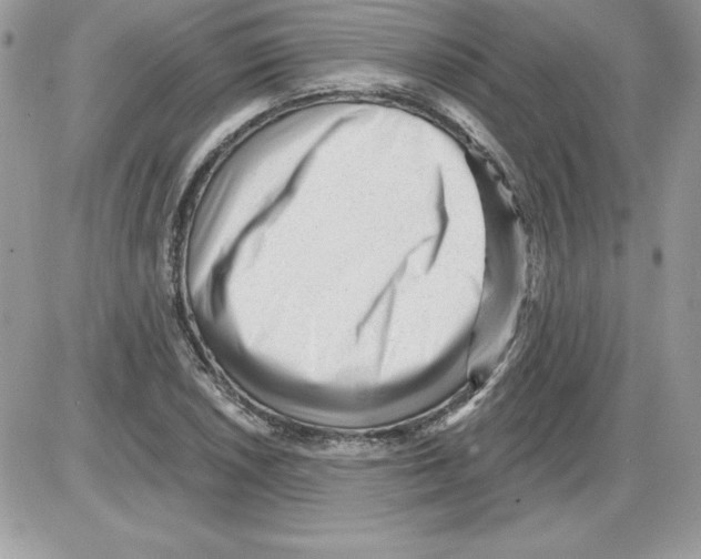 X0000085801026200704131915