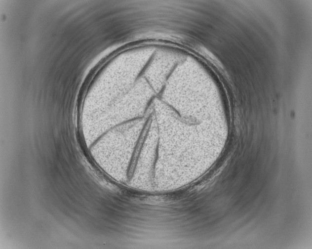 X0000085801028200704131915