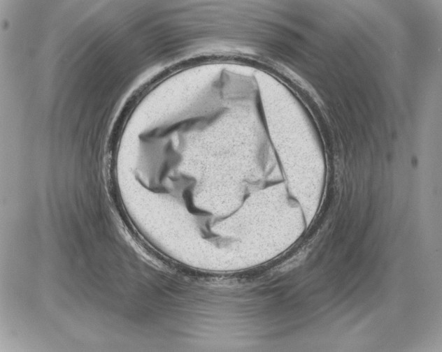 X0000085801029200704131915