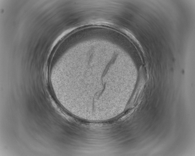 X0000085801032200704131916