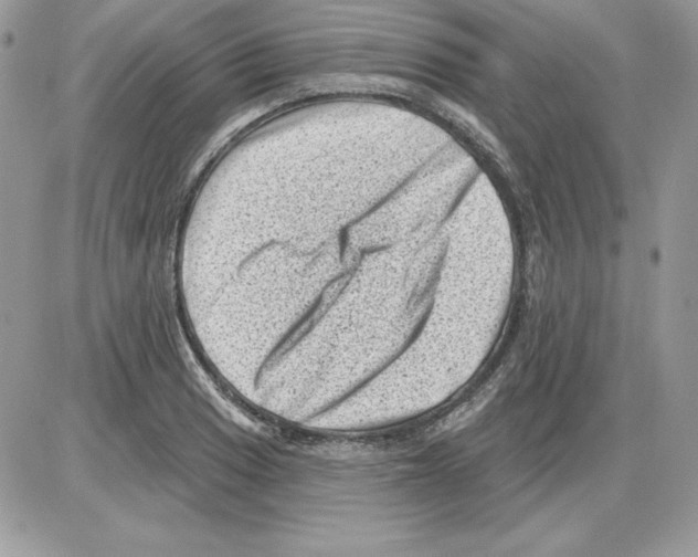 X0000085801033200704131916