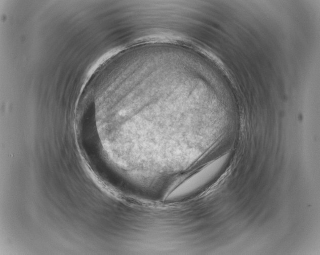 X0000085801034200704131916